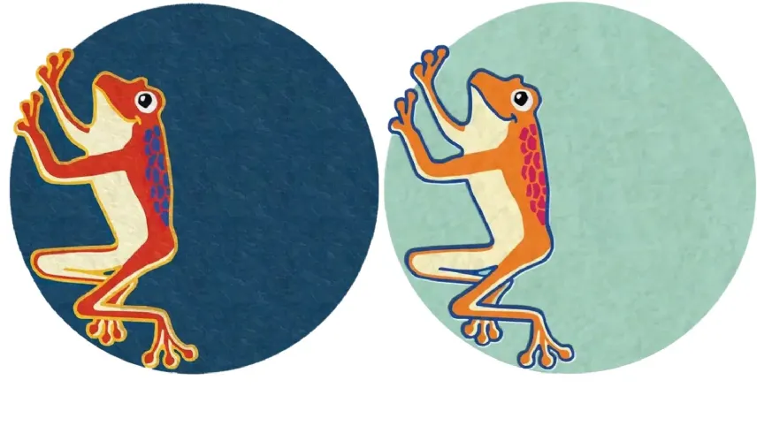 Tappeto The Frog, Un Tapis à Paris