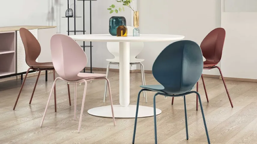 Basil di Calligaris