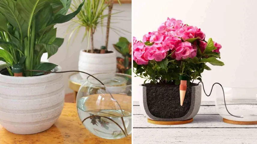 Metodo 2 - Sistema di irrigazione con coni in terracotta