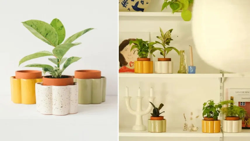 Pepin - Vaso autoirrigante Paulita