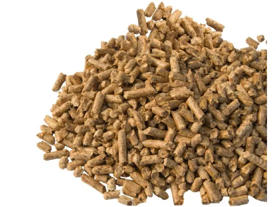 Pellet di legno